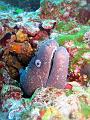 IMG_4471 r1